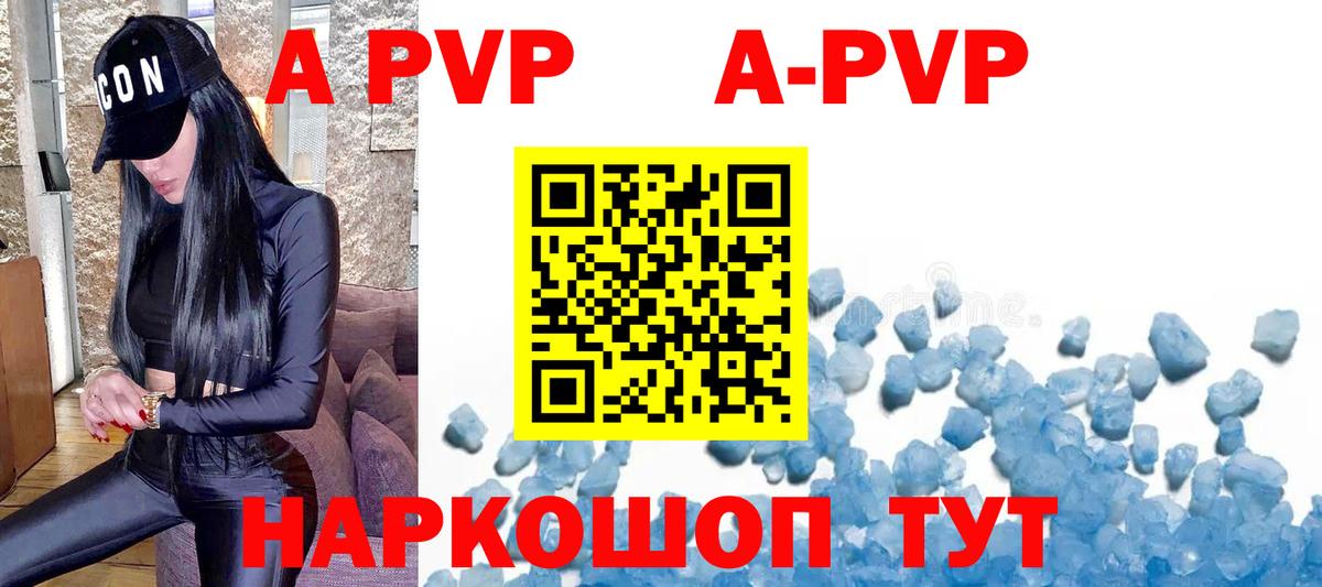 A PVP СК КРИС Гурьевск