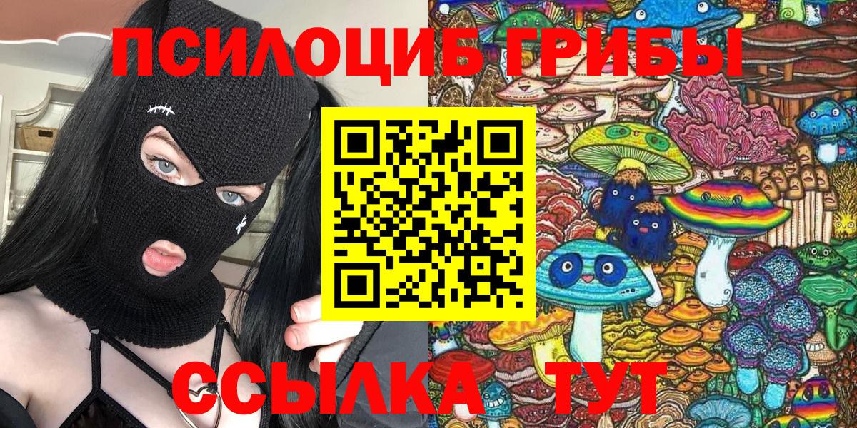 Гурьевск  Галлюциногенные грибы мухоморы  Вход с VPN  Галлюциногенные грибы Cubensis 